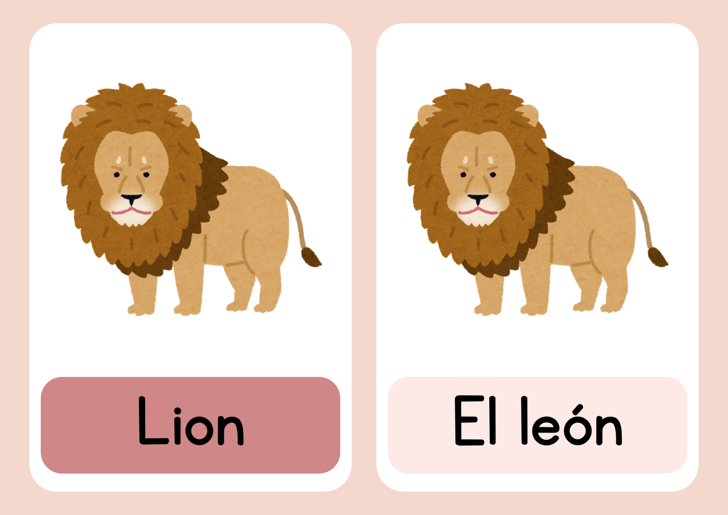 30 Animal flash cards in Spanish and English (8+)