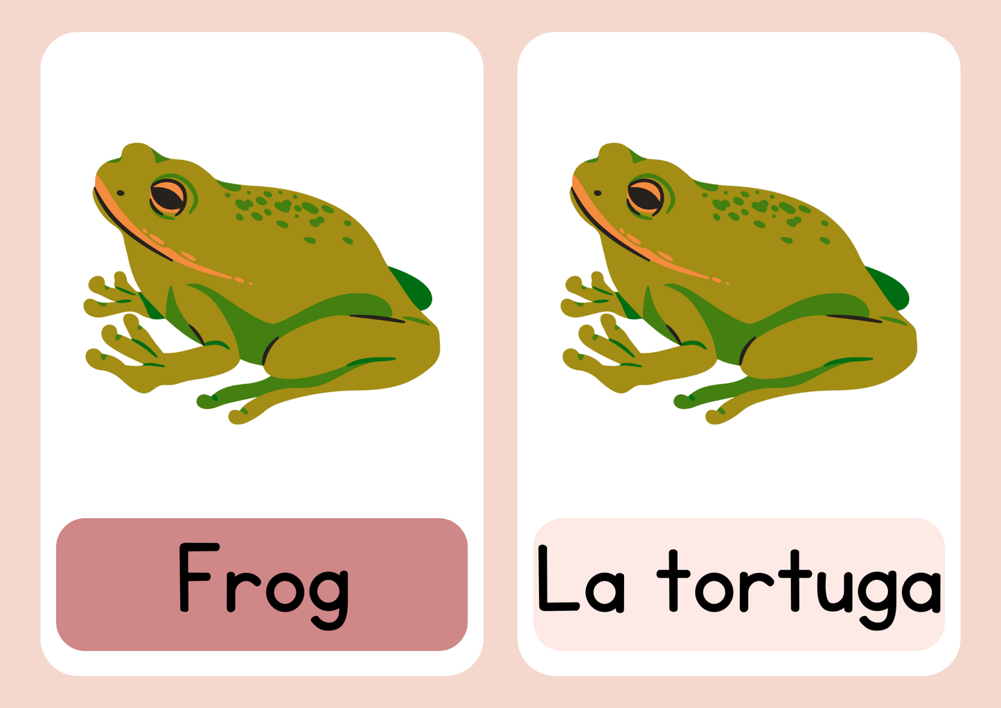 30 Animal flash cards in Spanish and English (8+)