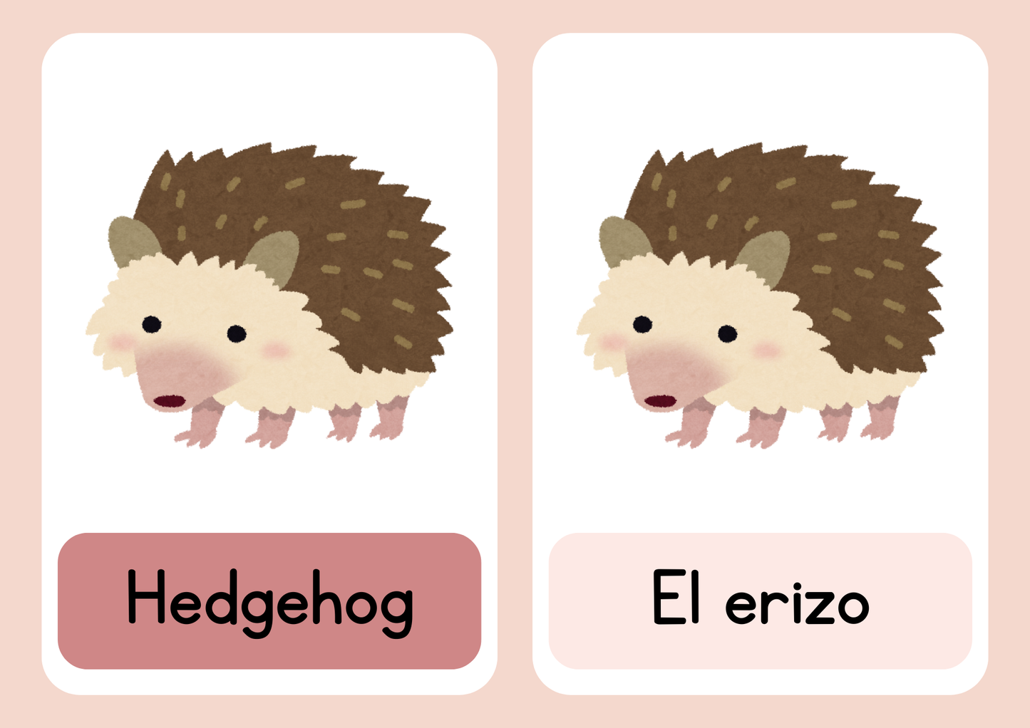 30 Animal flash cards in Spanish and English (8+)