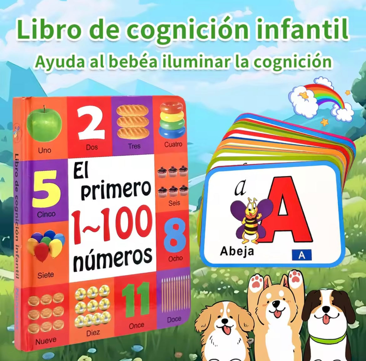 Spanish numbers book and abc flashcards (2+)
