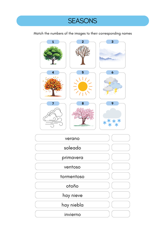Seasons worksheets in Spanish (8+)(SM)