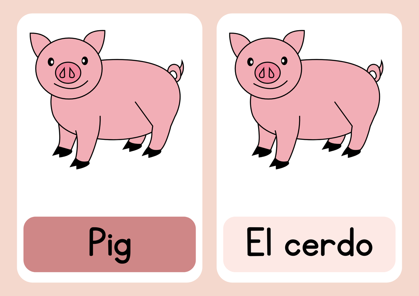 30 Animal flash cards in Spanish and English (8+)