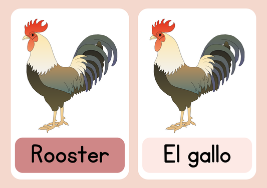 30 Animal flash cards in Spanish and English (8+)